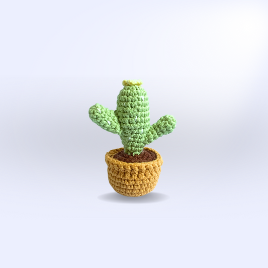 Potted Cactus Crochet Kit